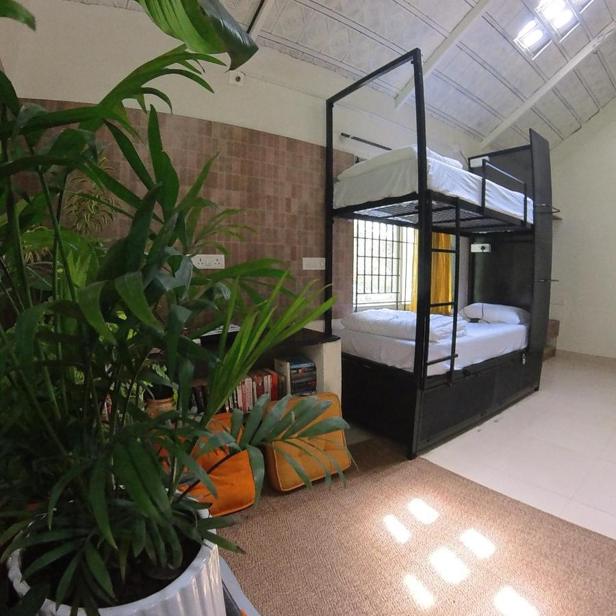 Benomadic Eco Hostel, Madikeri, Coorg Suntikoppa Extérieur photo