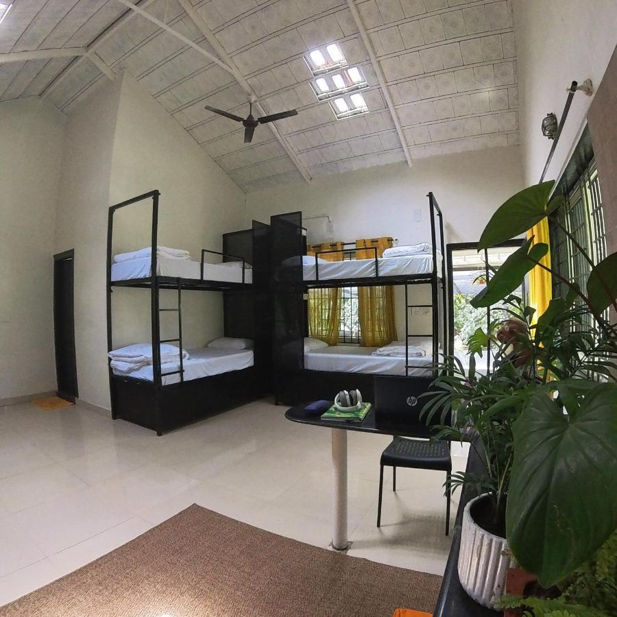 Benomadic Eco Hostel, Madikeri, Coorg Suntikoppa Extérieur photo