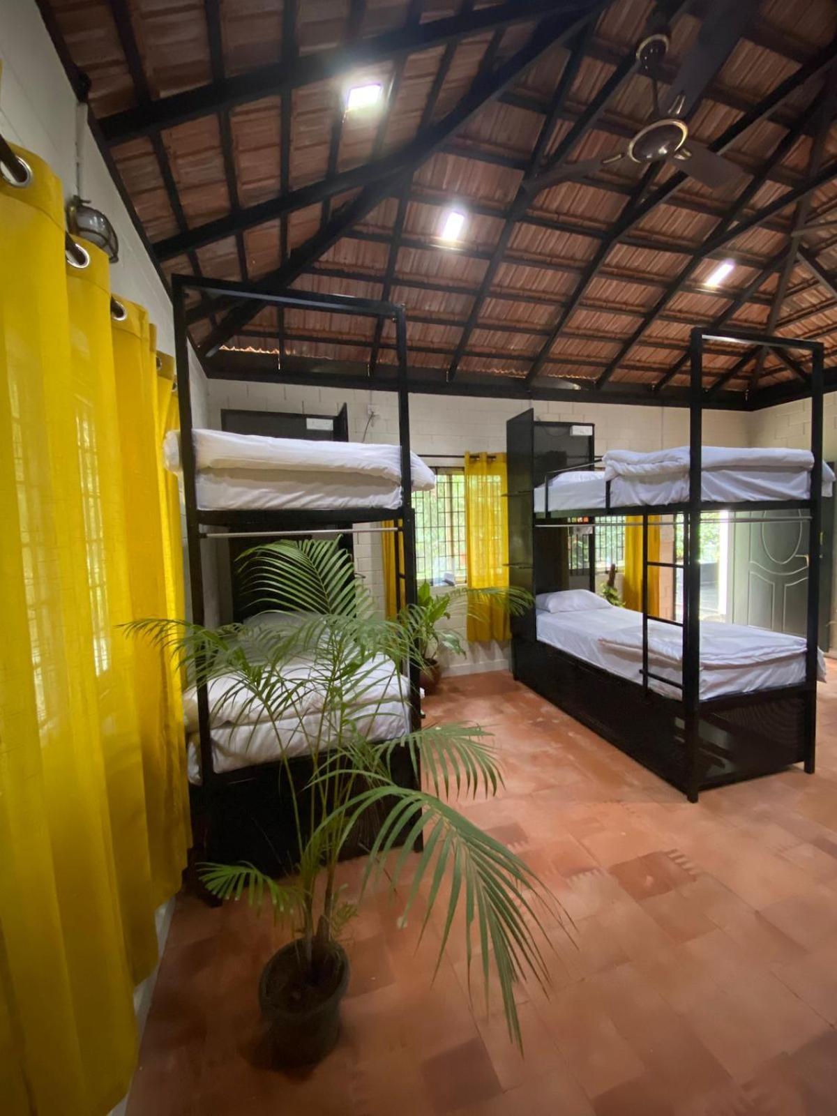Benomadic Eco Hostel, Madikeri, Coorg Suntikoppa Extérieur photo