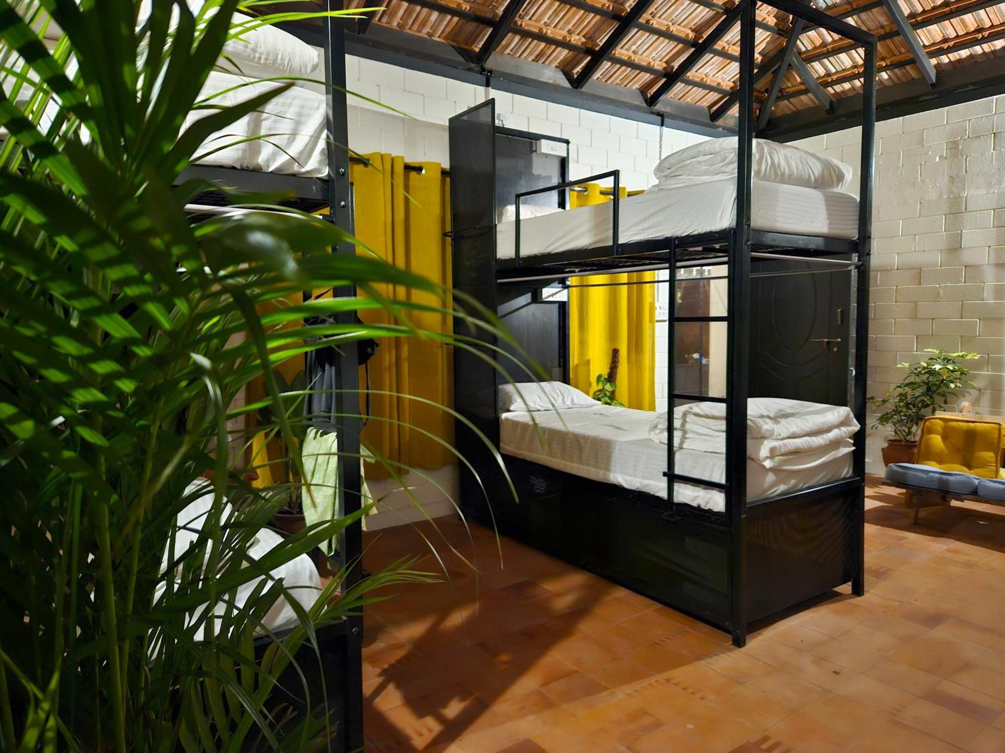 Benomadic Eco Hostel, Madikeri, Coorg Suntikoppa Extérieur photo